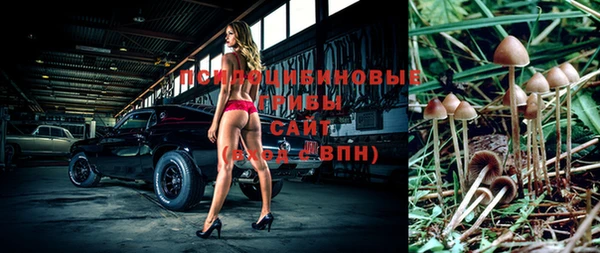 spice Верхний Тагил